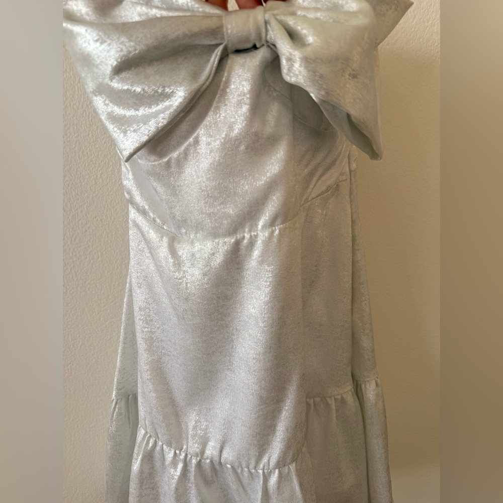 TCEC Silver Ruched Fabric - Picture 3 of 7